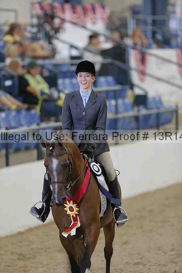 Proof Number 13r14_2393