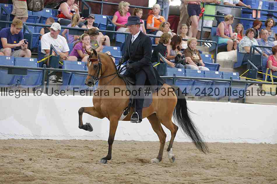 Proof Number 13r14_2420