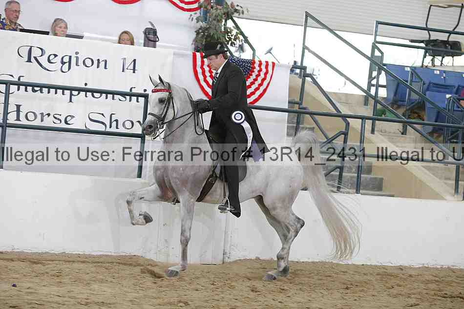 Proof Number 13r14_2431