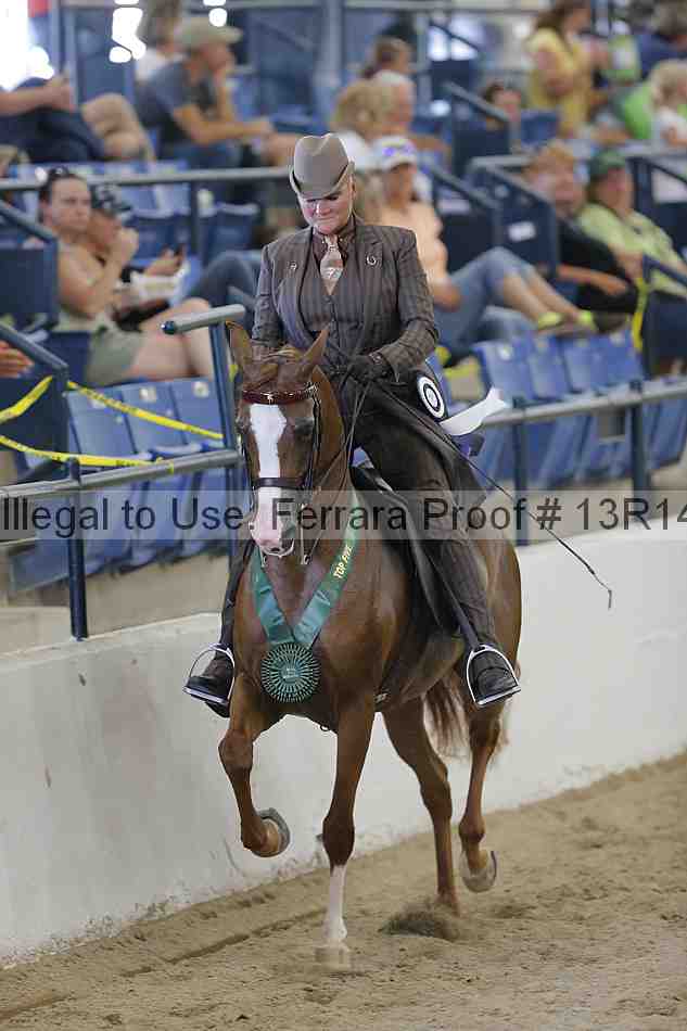 Proof Number 13r14_2433