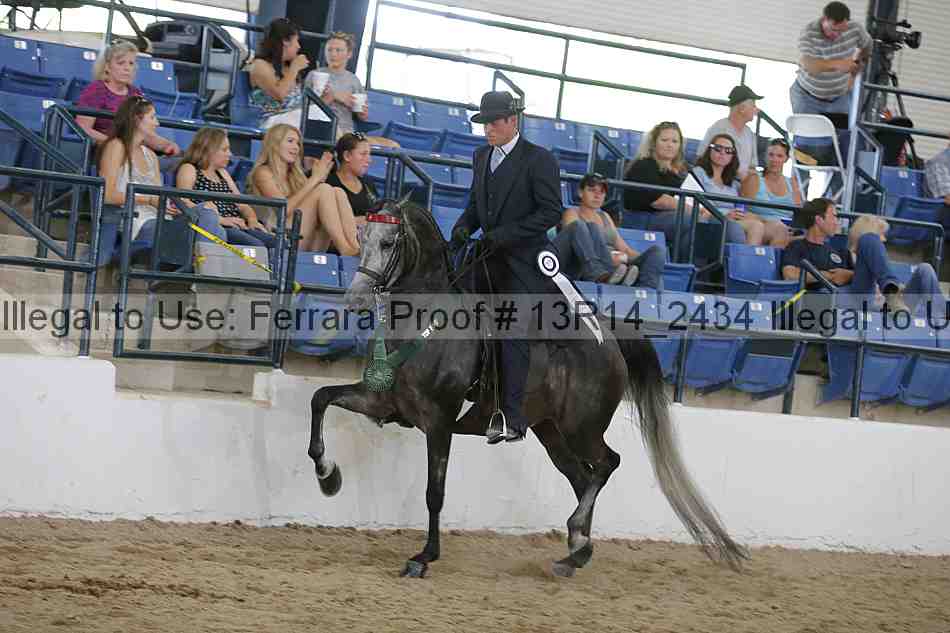 Proof Number 13r14_2434