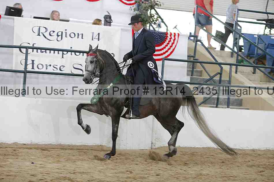 Proof Number 13r14_2435