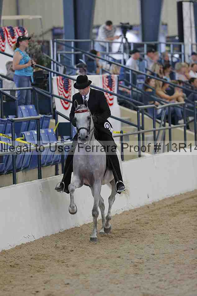 Proof Number 13r14_2436