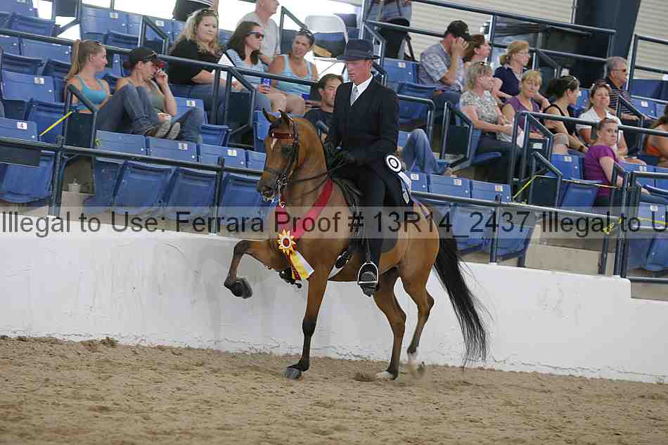 Proof Number 13r14_2437