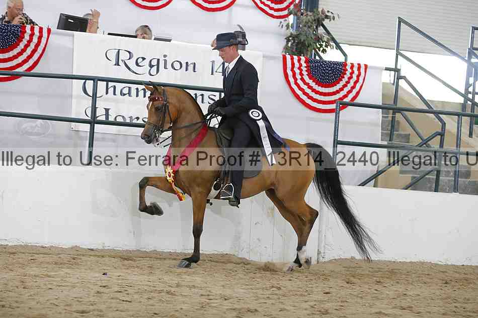 Proof Number 13r14_2440