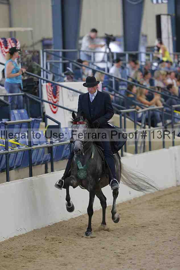 Proof Number 13r14_2441