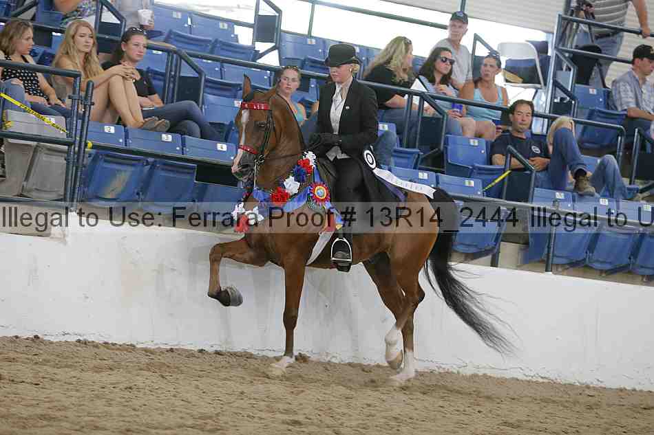 Proof Number 13r14_2444