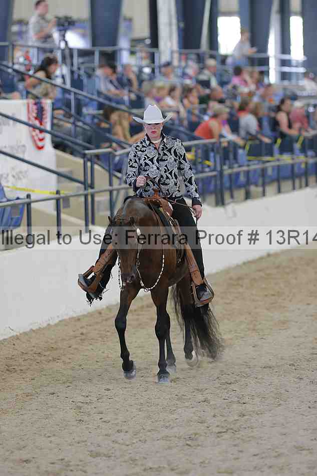 Proof Number 13r14_2473