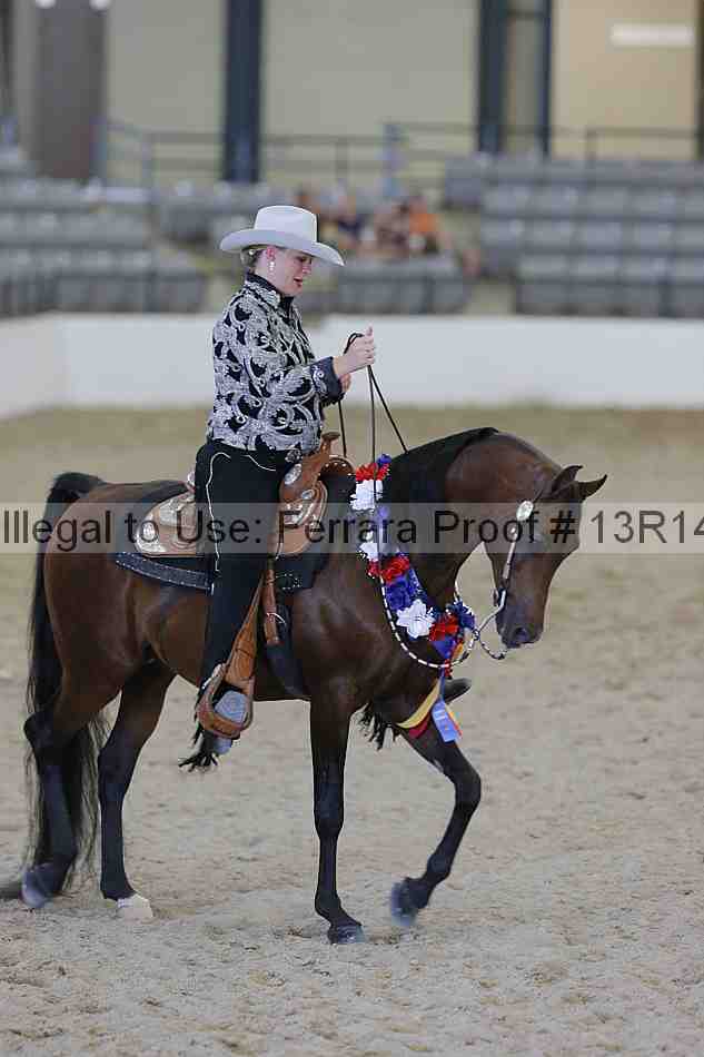 Proof Number 13r14_2483