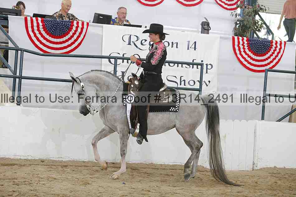 Proof Number 13r14_2491