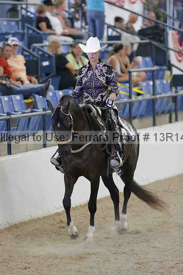 Proof Number 13r14_2492