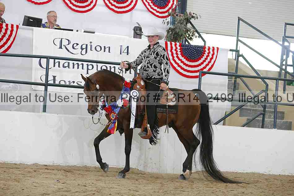 Proof Number 13r14_2499