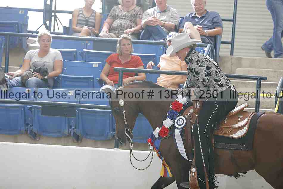 Proof Number 13r14_2501