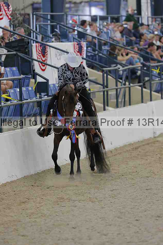 Proof Number 13r14_2504