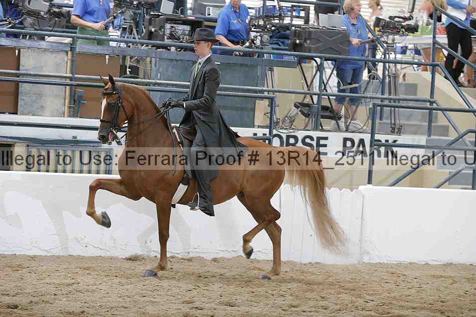 Proof Number 13r14_2511