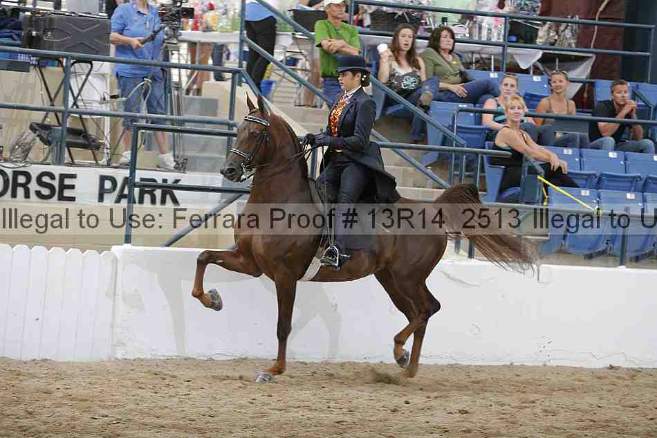 Proof Number 13r14_2513