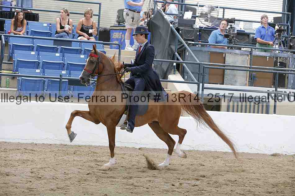 Proof Number 13r14_2517