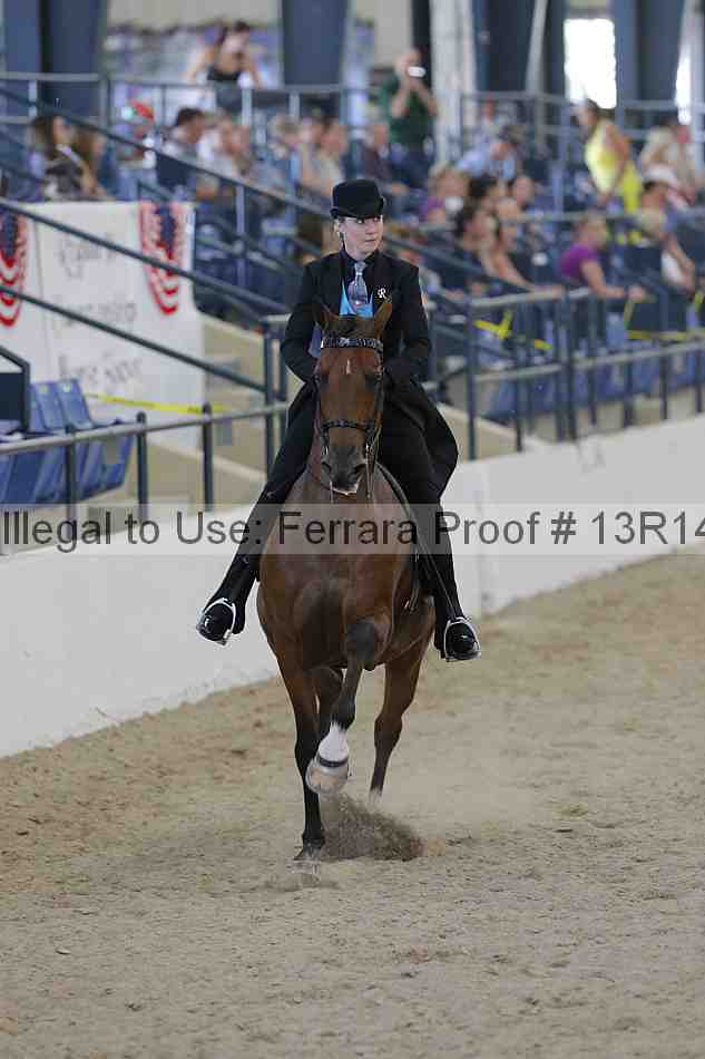Proof Number 13r14_2519