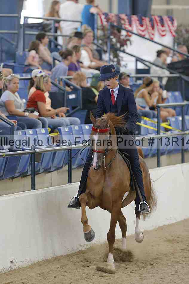 Proof Number 13r14_2523
