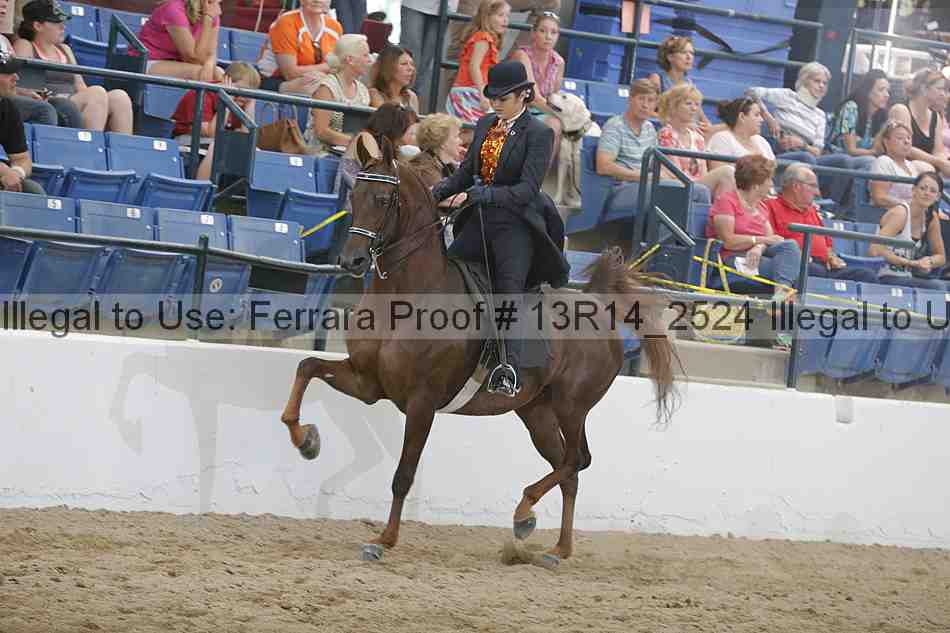 Proof Number 13r14_2524