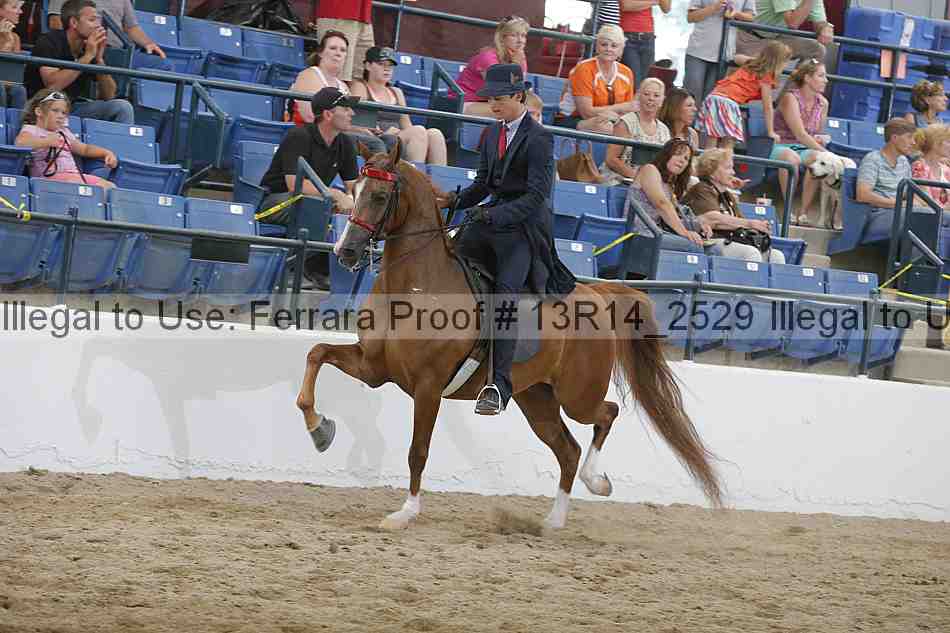 Proof Number 13r14_2529