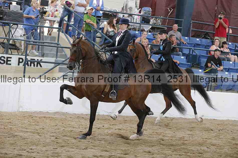 Proof Number 13r14_2531