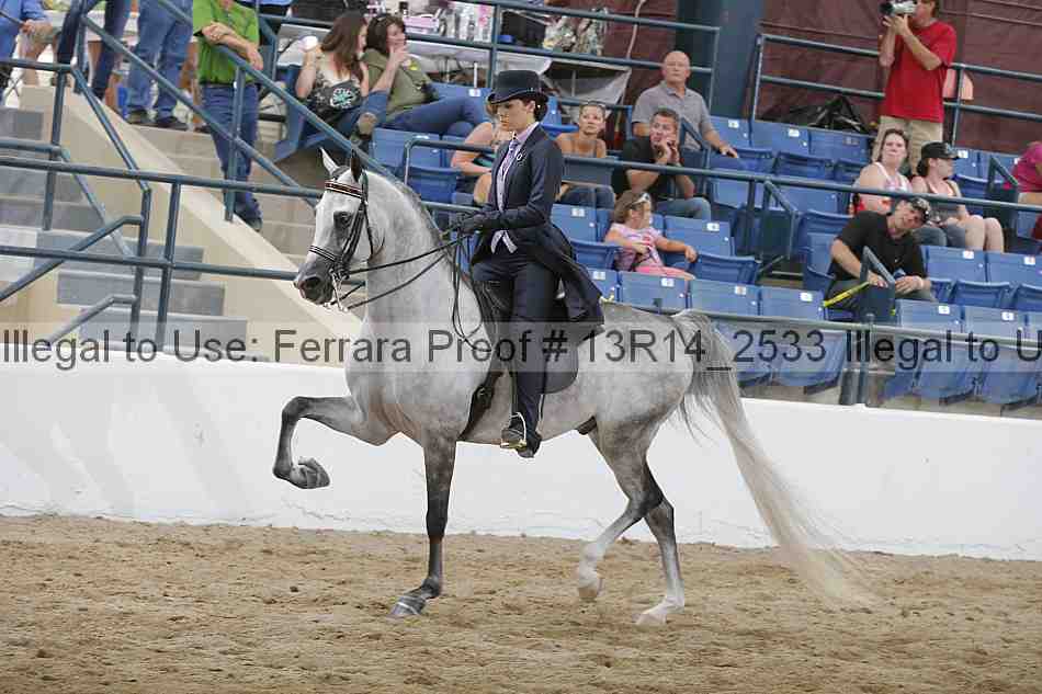 Proof Number 13r14_2533