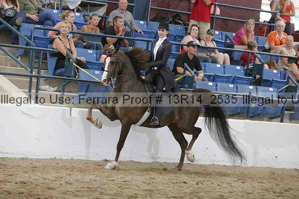 Proof Number 13r14_2535