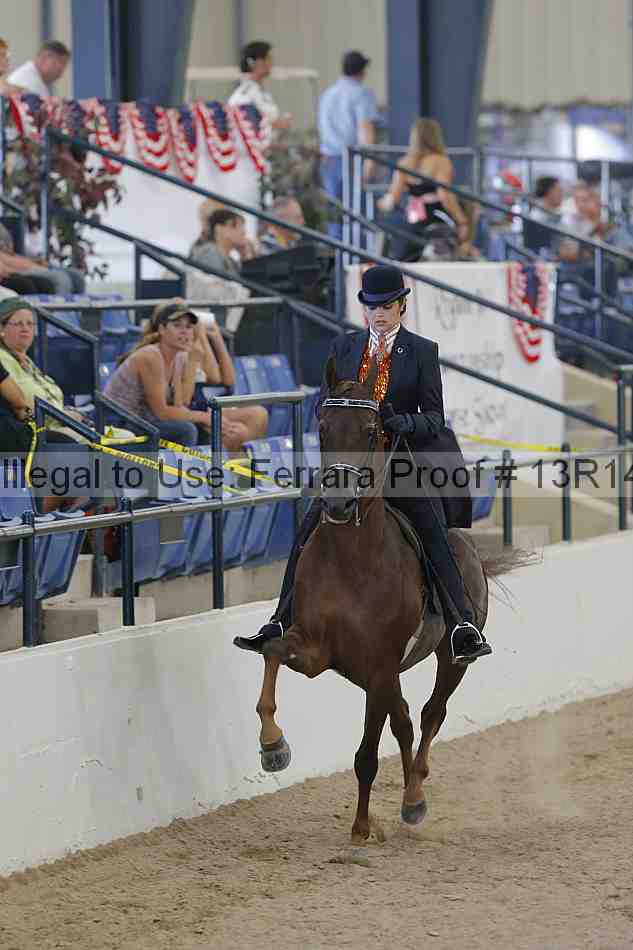 Proof Number 13r14_2538