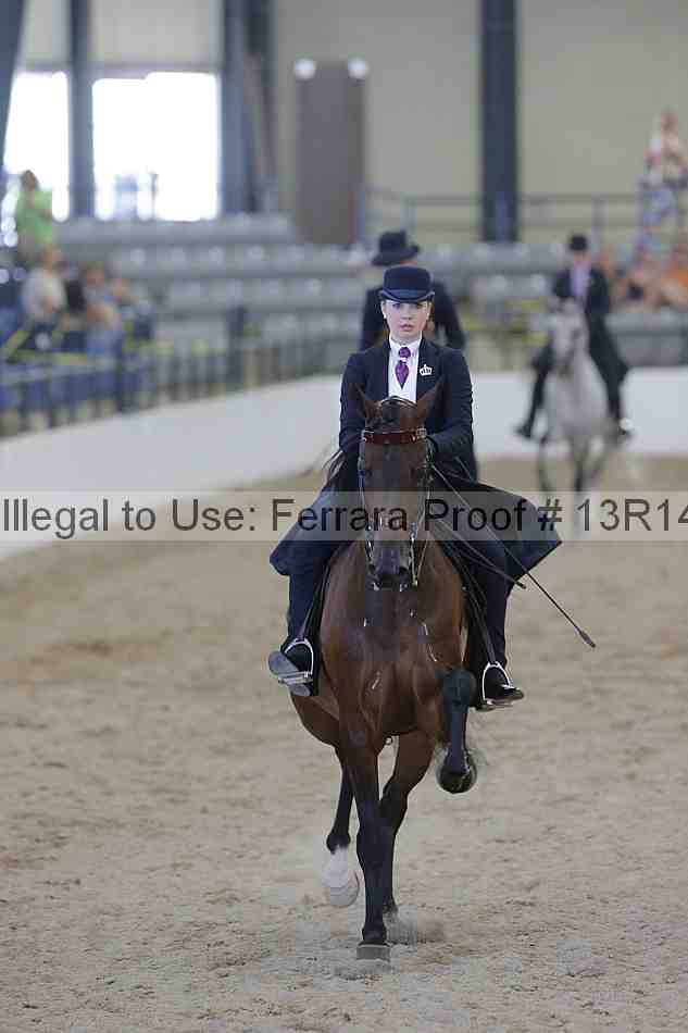 Proof Number 13r14_2539