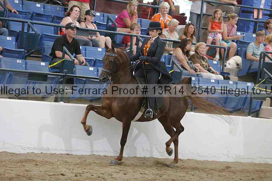 Proof Number 13r14_2540