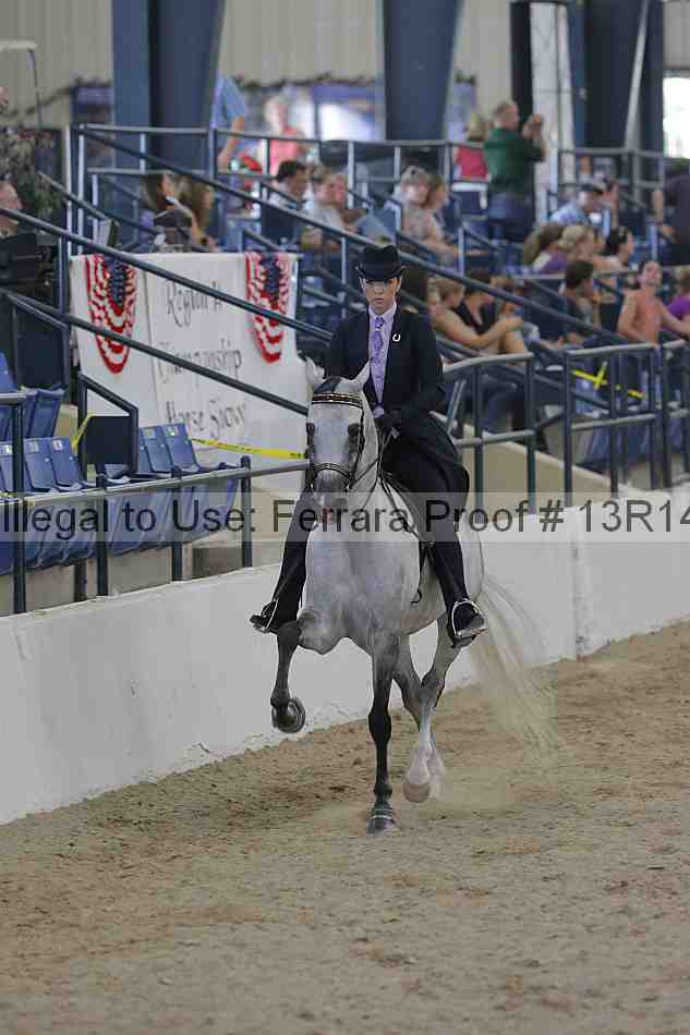Proof Number 13r14_2542