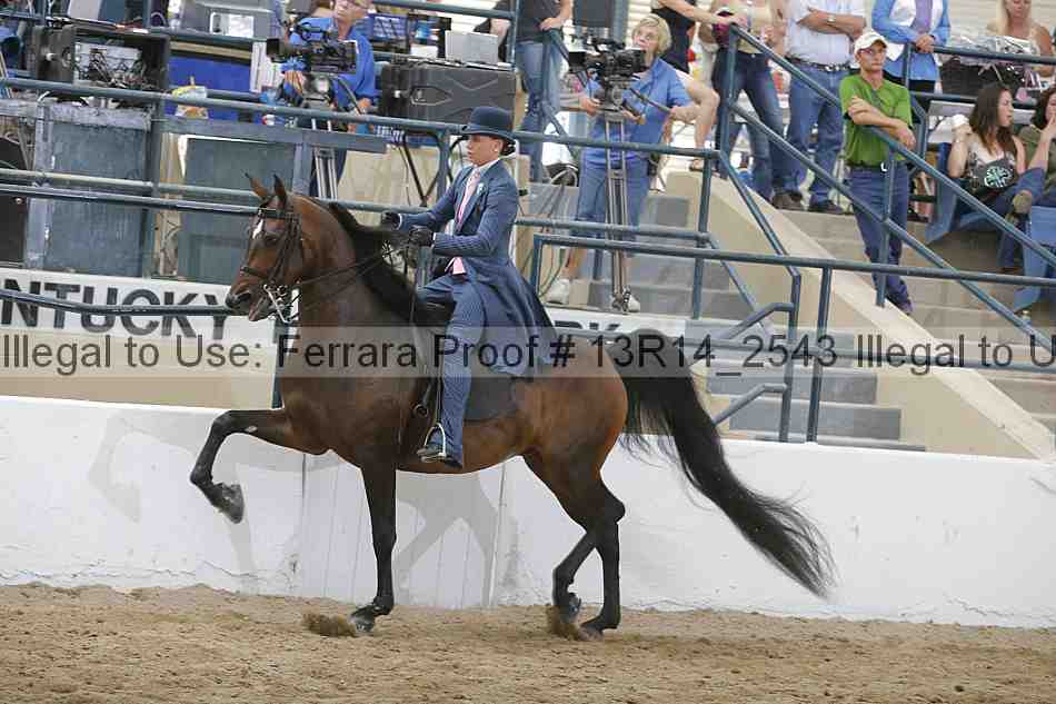 Proof Number 13r14_2543