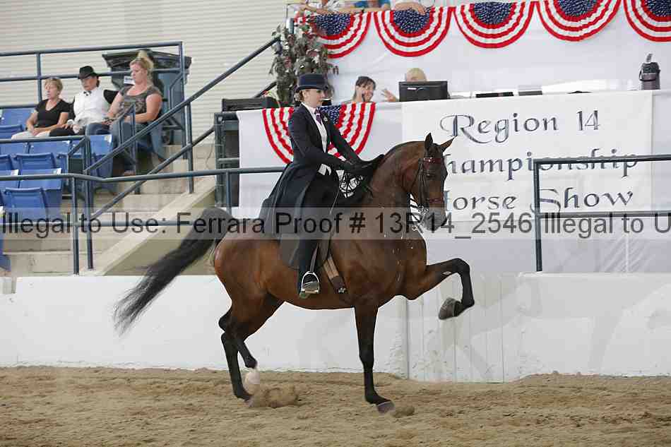 Proof Number 13r14_2546