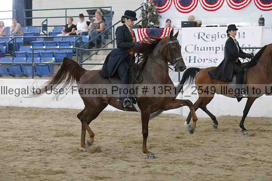 Proof Number 13r14_2549