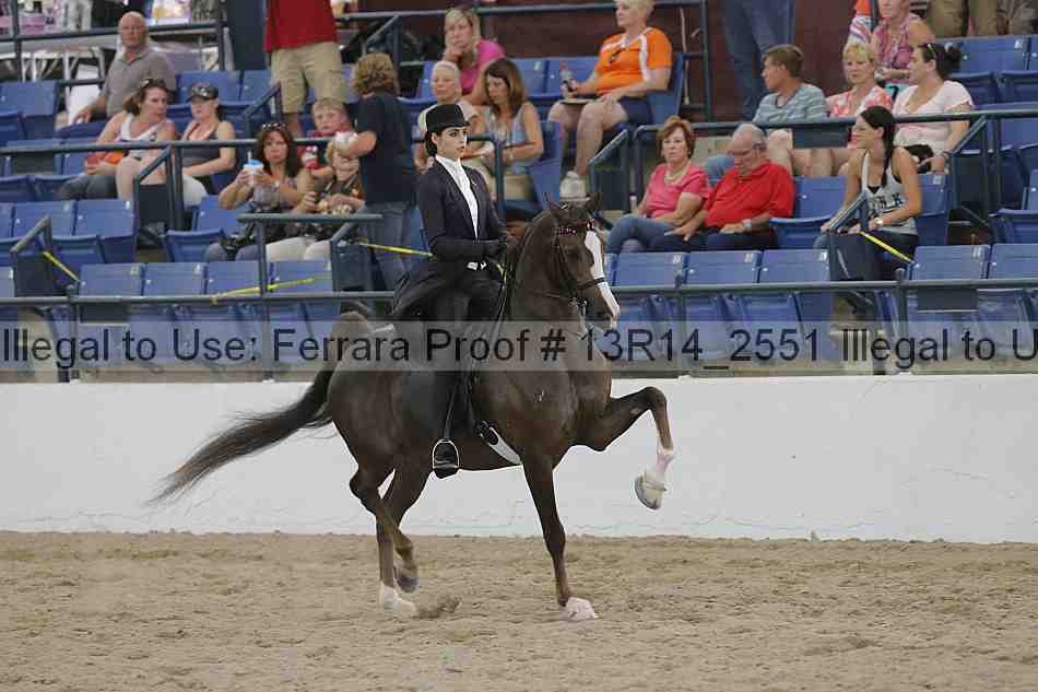 Proof Number 13r14_2551