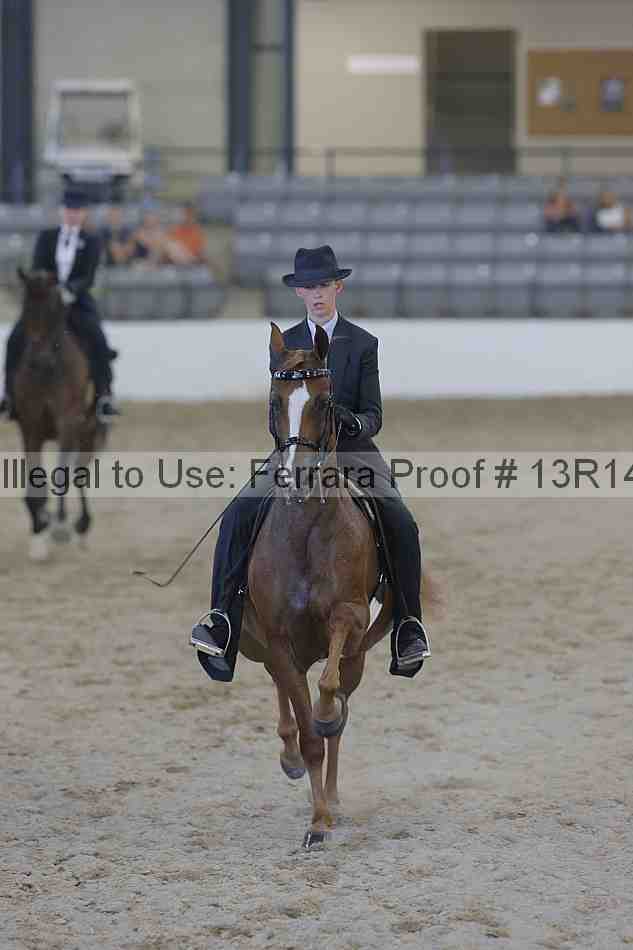 Proof Number 13r14_2556