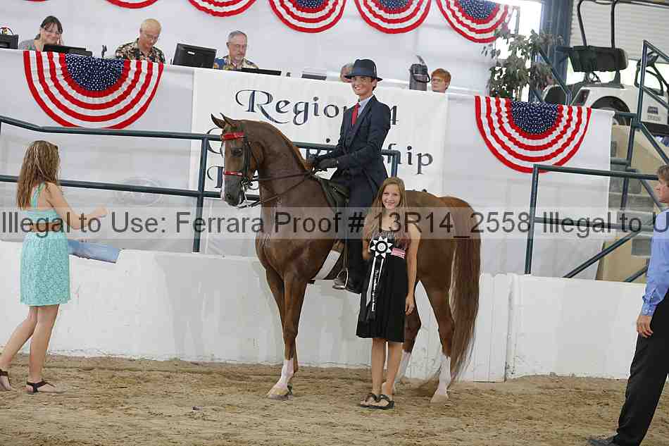 Proof Number 13r14_2558