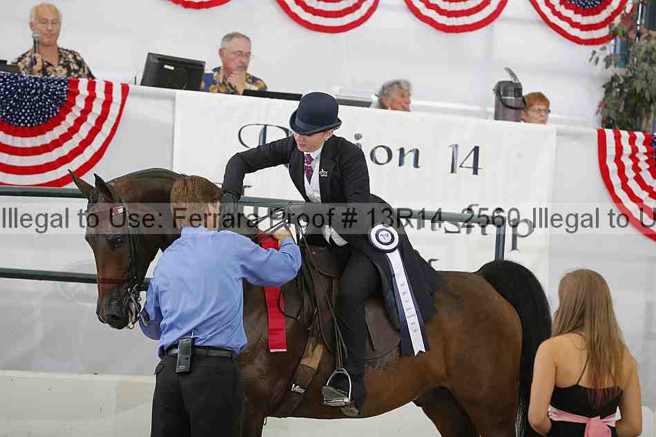 Proof Number 13r14_2560