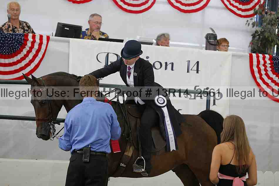 Proof Number 13r14_2561