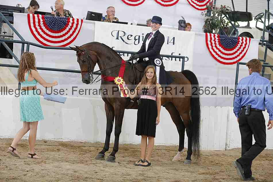 Proof Number 13r14_2562