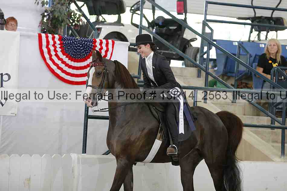 Proof Number 13r14_2563