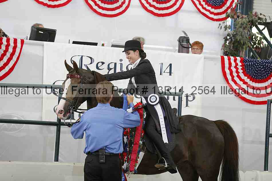 Proof Number 13r14_2564
