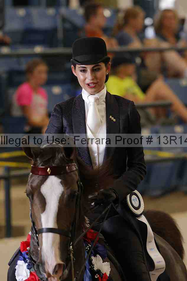 Proof Number 13r14_2567