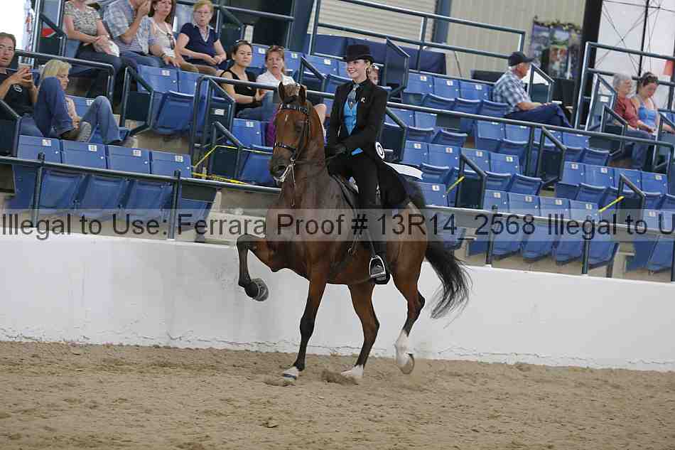 Proof Number 13r14_2568