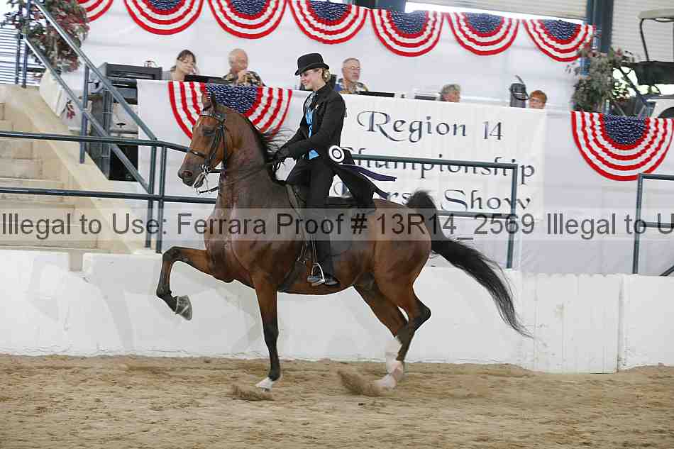 Proof Number 13r14_2569