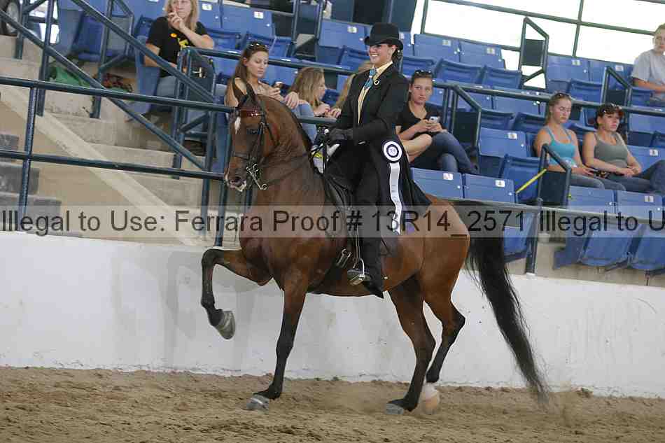 Proof Number 13r14_2571