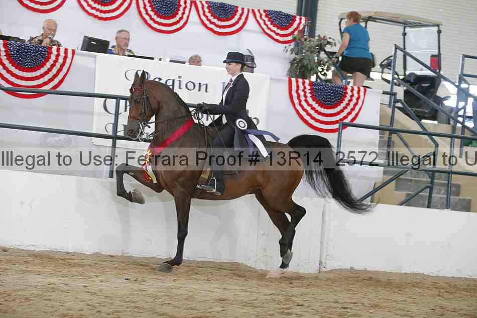 Proof Number 13r14_2572
