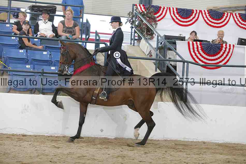 Proof Number 13r14_2573