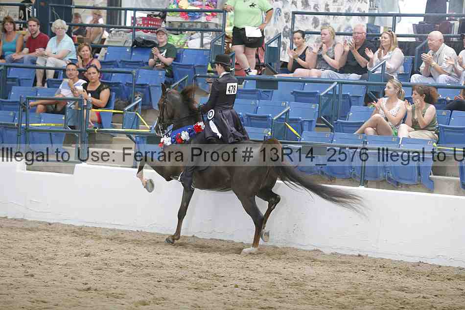 Proof Number 13r14_2576